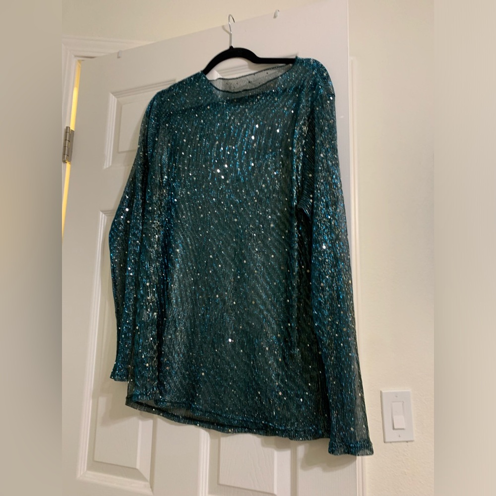 Plus Sheer Glitter Top Long Sleeve